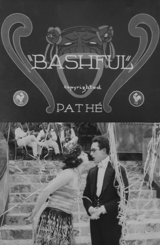 Постер Bashful